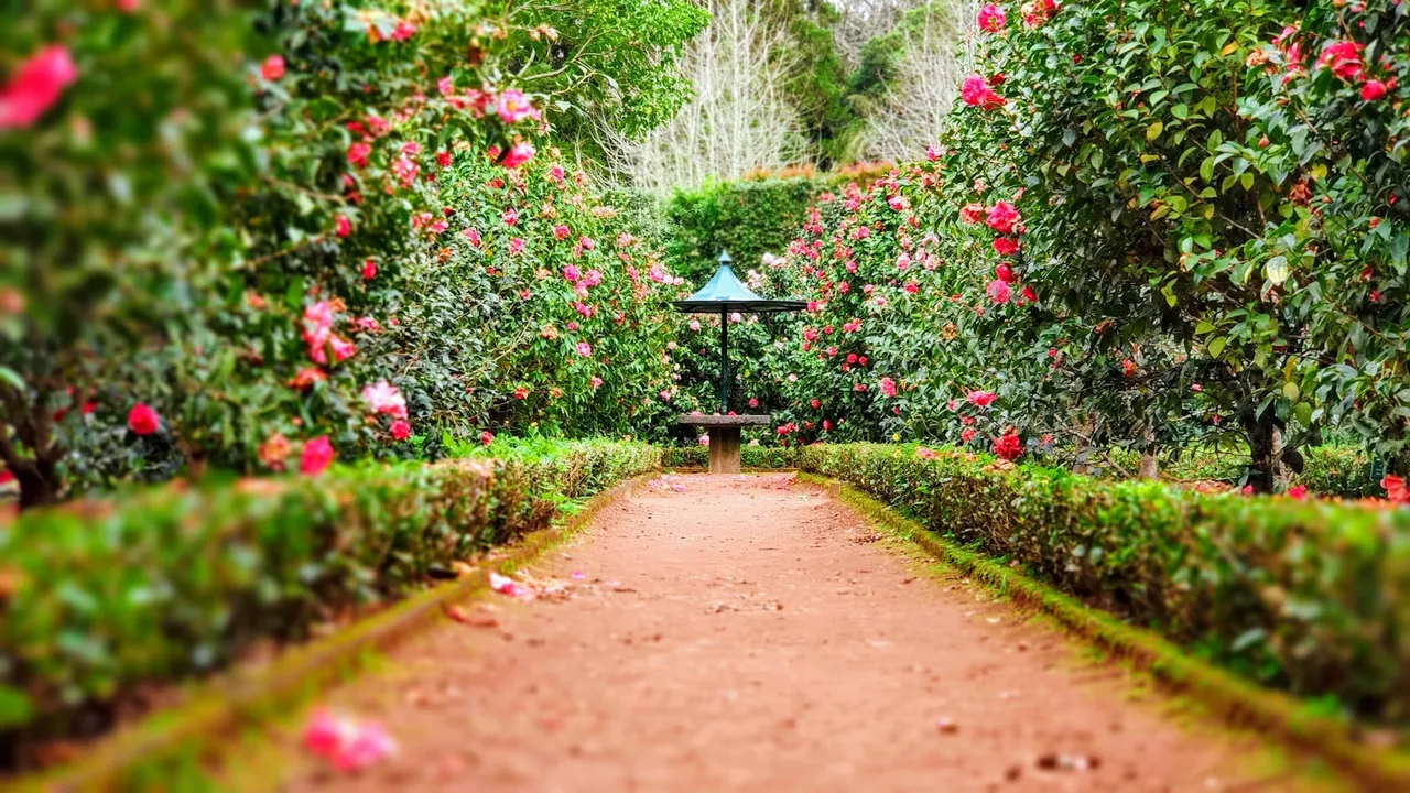 根植西北  绿满山河